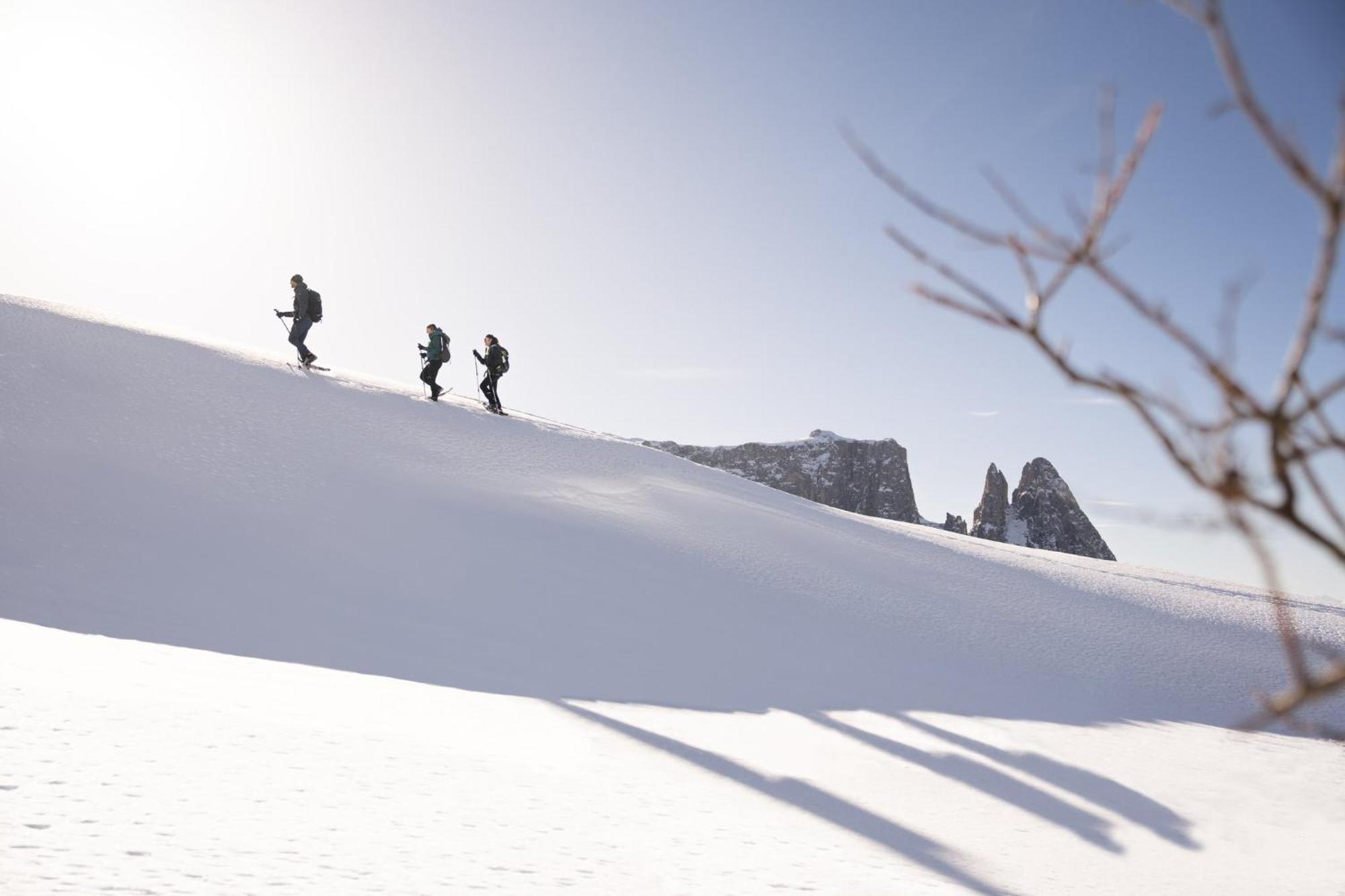 Como Alpina Dolomites Alpe Di Siusi Extérieur photo